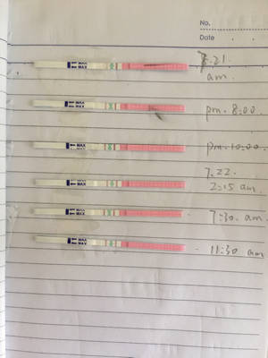 journal_insert_pic_797134817