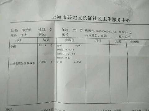 journal_insert_pic_796907796