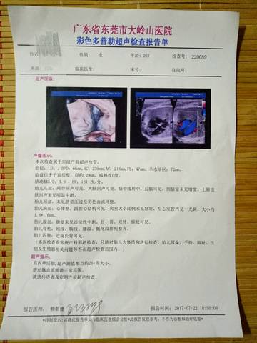 journal_insert_pic_797415680