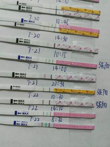 journal_insert_pic_797419636