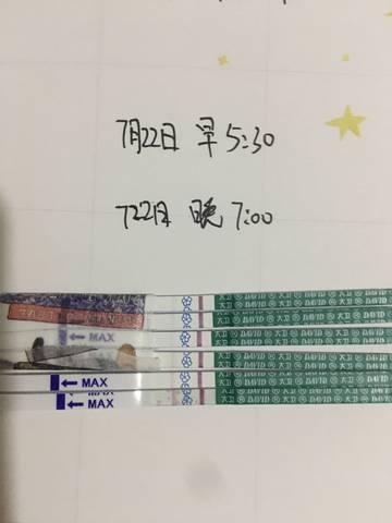 journal_insert_pic_797993674