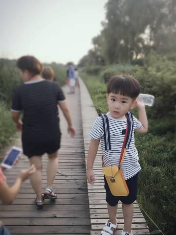 journal_insert_pic_798298704