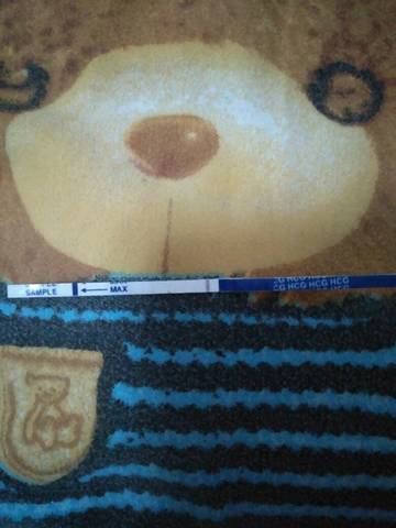 journal_insert_pic_798334220