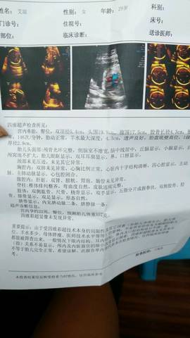 journal_insert_pic_797808365