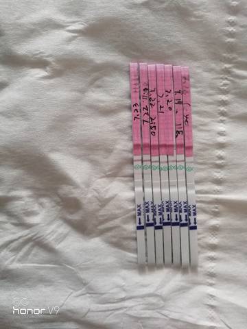 journal_insert_pic_797825602