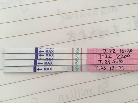 journal_insert_pic_797840863