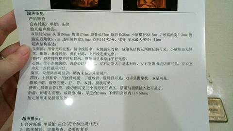 journal_insert_pic_798656496