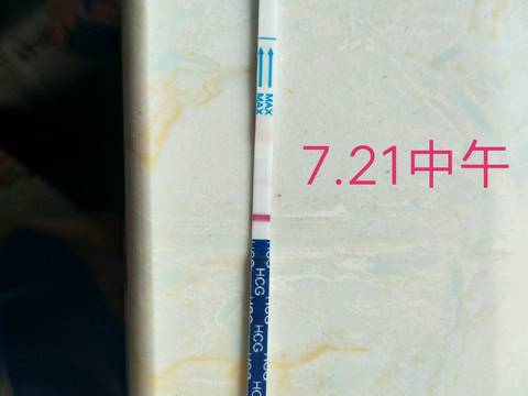 journal_insert_pic_798972552