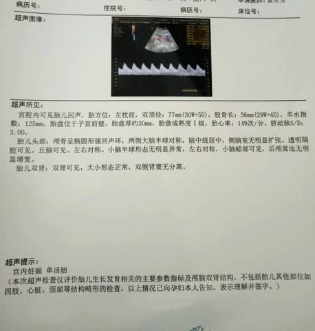 journal_insert_pic_798534926