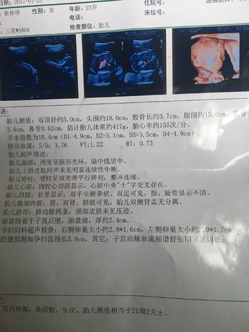 journal_insert_pic_799334351