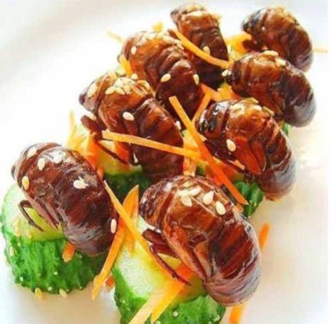 有没有人吃过糖宝有图别吓着美阿姨们了