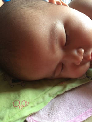 journal_insert_pic_799462662