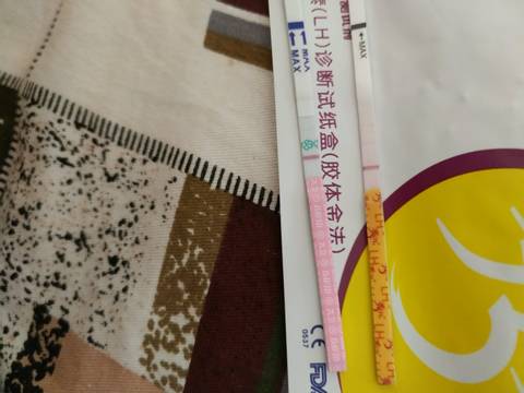 journal_insert_pic_799294083