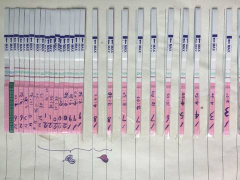 journal_insert_pic_801039006