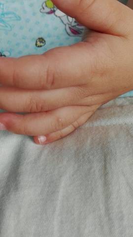 journal_insert_pic_800820222