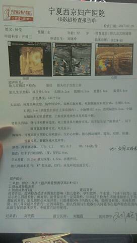journal_insert_pic_801284090