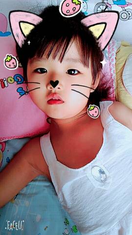 journal_insert_pic_801371327