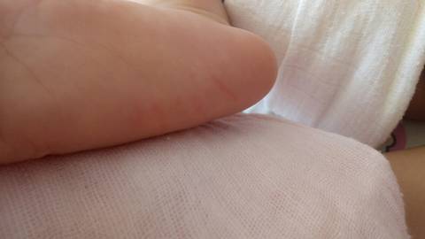 journal_insert_pic_802287154