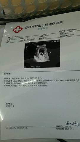 journal_insert_pic_802687114