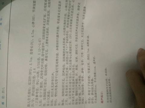 journal_insert_pic_803555349
