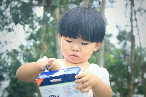 journal_insert_pic_803706660