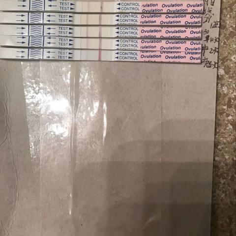 journal_insert_pic_803974036