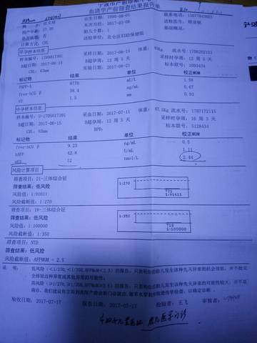 journal_insert_pic_804996861