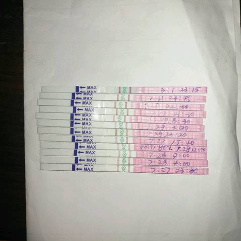 journal_insert_pic_805740742