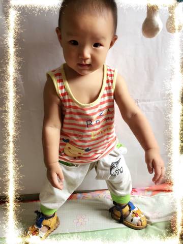 journal_insert_pic_806109675