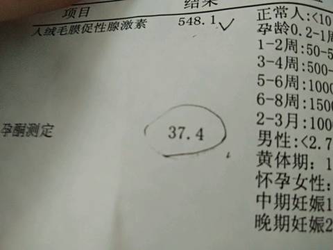 journal_insert_pic_805932715