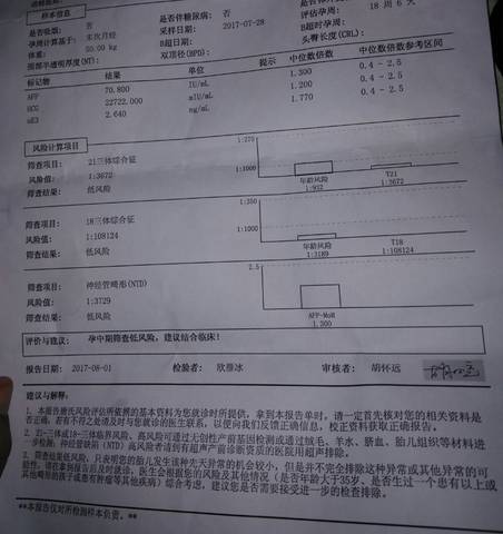 journal_insert_pic_806058240