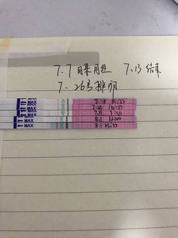 journal_insert_pic_805539576