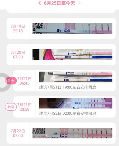 journal_insert_pic_805823070