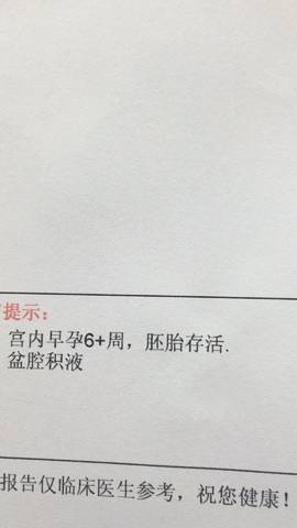 journal_insert_pic_806516436