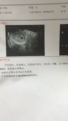 journal_insert_pic_806516353