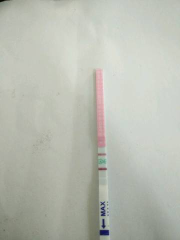 journal_insert_pic_807250017