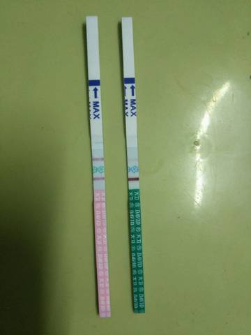 journal_insert_pic_808448611