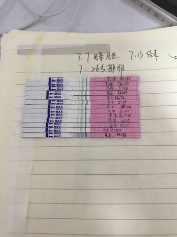 journal_insert_pic_808369366