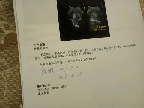 journal_insert_pic_808859684