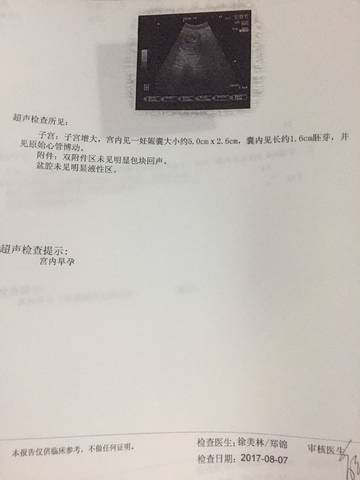 journal_insert_pic_810165015