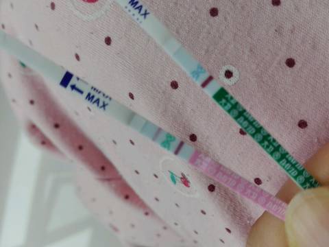 journal_insert_pic_809509771