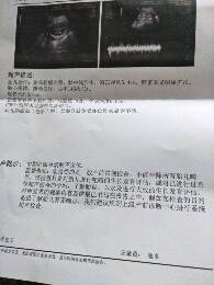journal_insert_pic_809801656
