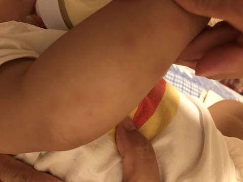 journal_insert_pic_810022244