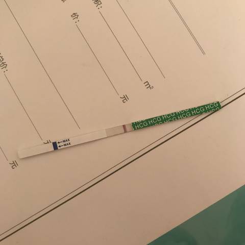 journal_insert_pic_809554478