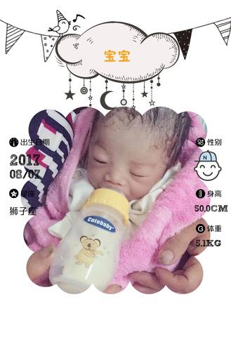 journal_insert_pic_810550603