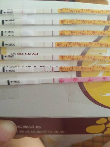 journal_insert_pic_811280873