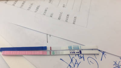 journal_insert_pic_811148384