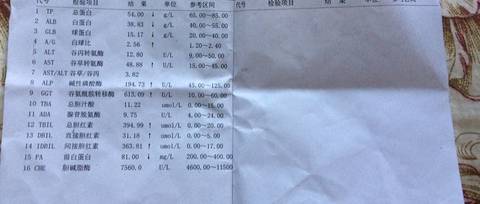 journal_insert_pic_811523576
