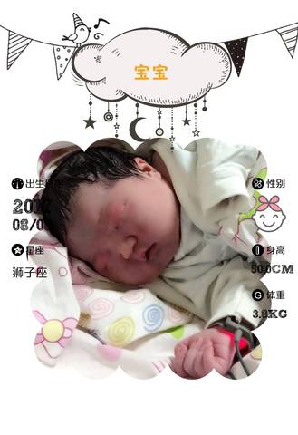journal_insert_pic_812941551