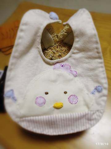 journal_insert_pic_812717395